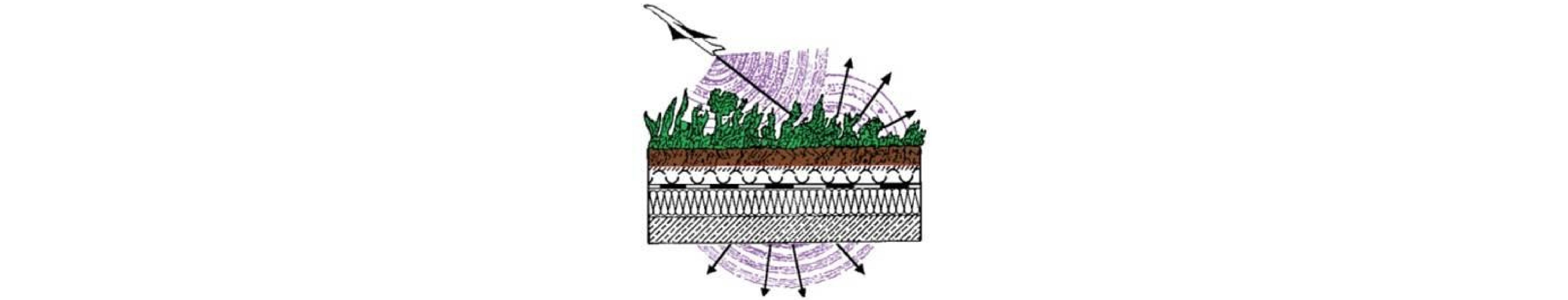 [ Research] The benefits of Green roofs